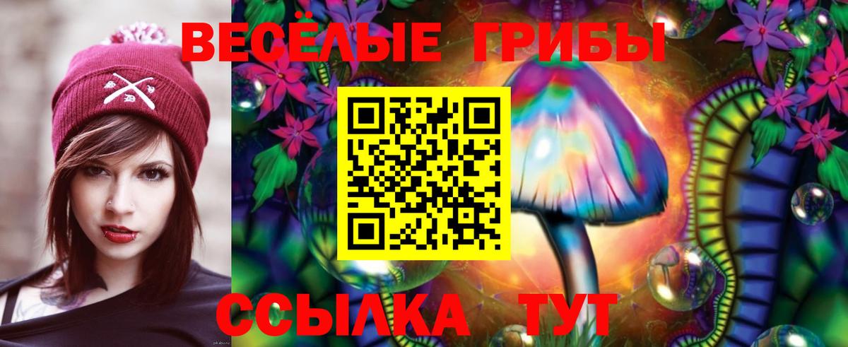 Междуреченск  Псилоцибиновые грибы прущие грибы  Вход с VPN 